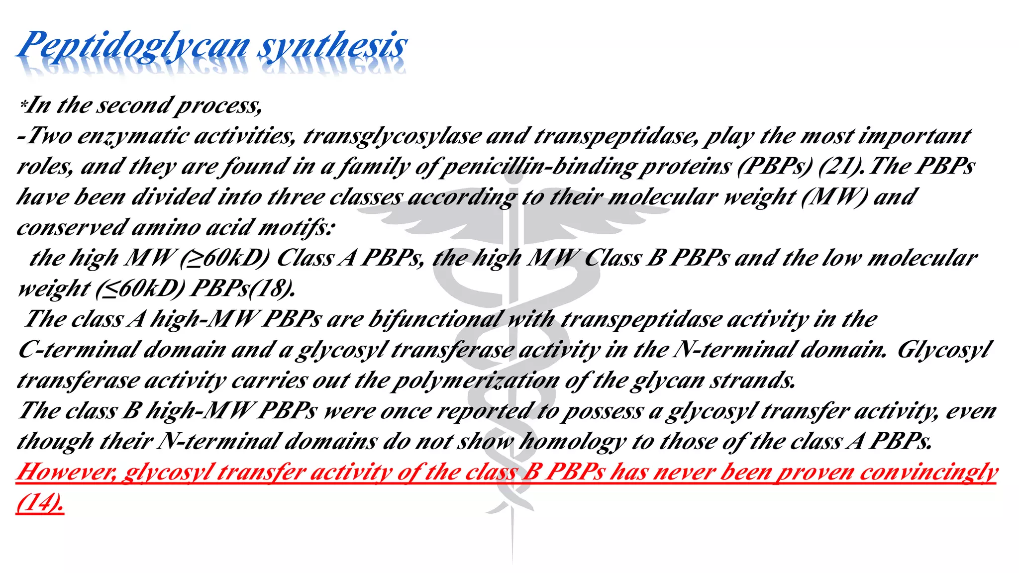 Peptidoglycan synthesis
*In the second process,
-Two enzymatic activities, transglycosylase and transpeptidase, play the most important
roles, and they are found in a family of penicillin-binding proteins (PBPs) (21).The PBPs
have been divided into three classes according to their molecular weight (MW) and
conserved amino acid motifs:
the high MW (≥60kD) Class A PBPs, the high MW Class B PBPs and the low molecular
weight (≤60kD) PBPs(18).
The class A high-MW PBPs are bifunctional with transpeptidase activity in the
C-terminal domain and a glycosyl transferase activity in the N-terminal domain. Glycosyl
transferase activity carries out the polymerization of the glycan strands.
The class B high-MW PBPs were once reported to possess a glycosyl transfer activity, even
though their N-terminal domains do not show homology to those of the class A PBPs.
However, glycosyl transfer activity of the class B PBPs has never been proven convincingly
(14).
 