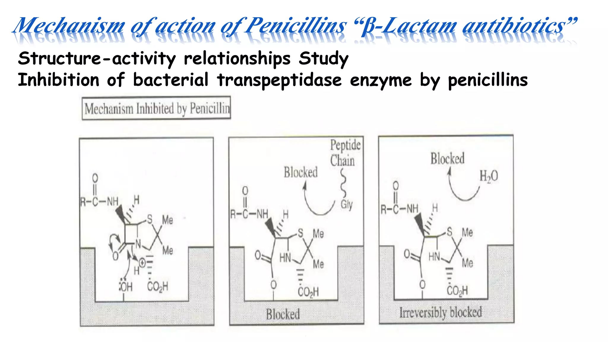 Mechanism of action of Penicillins “β-Lactam antibiotics”
Structure-activity relationships Study
Inhibition of bacterial transpeptidase enzyme by penicillins
 