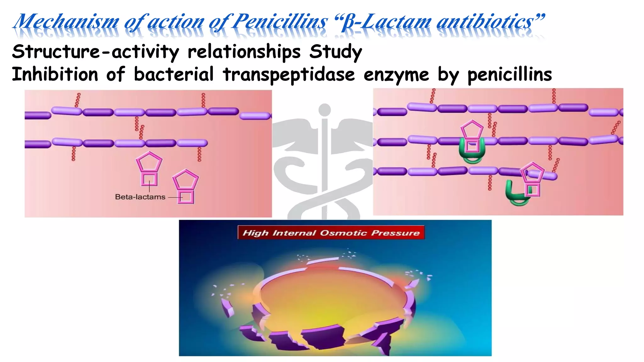 Mechanism of action of Penicillins “β-Lactam antibiotics”
Structure-activity relationships Study
Inhibition of bacterial transpeptidase enzyme by penicillins
 