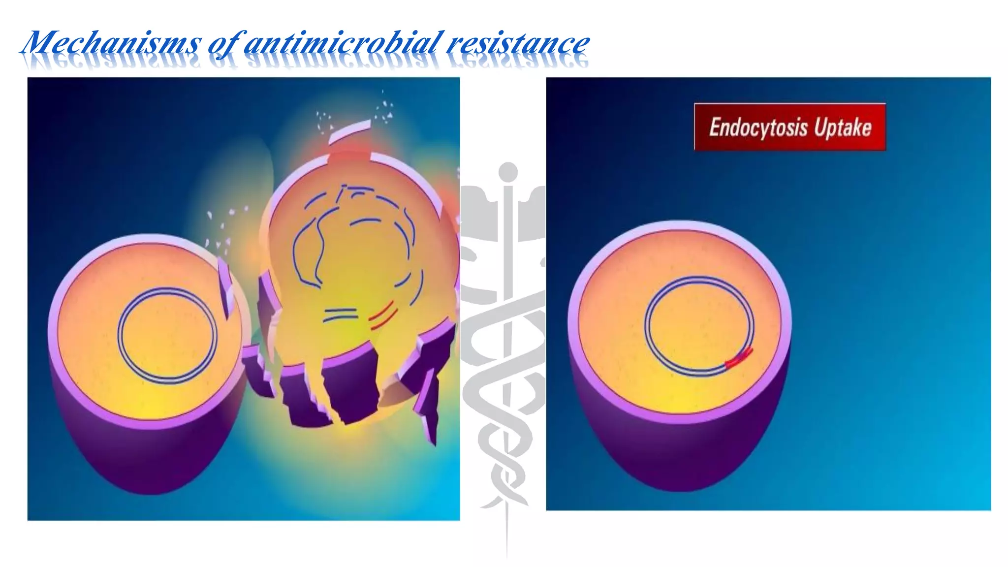 Mechanisms of antimicrobial resistance
 
