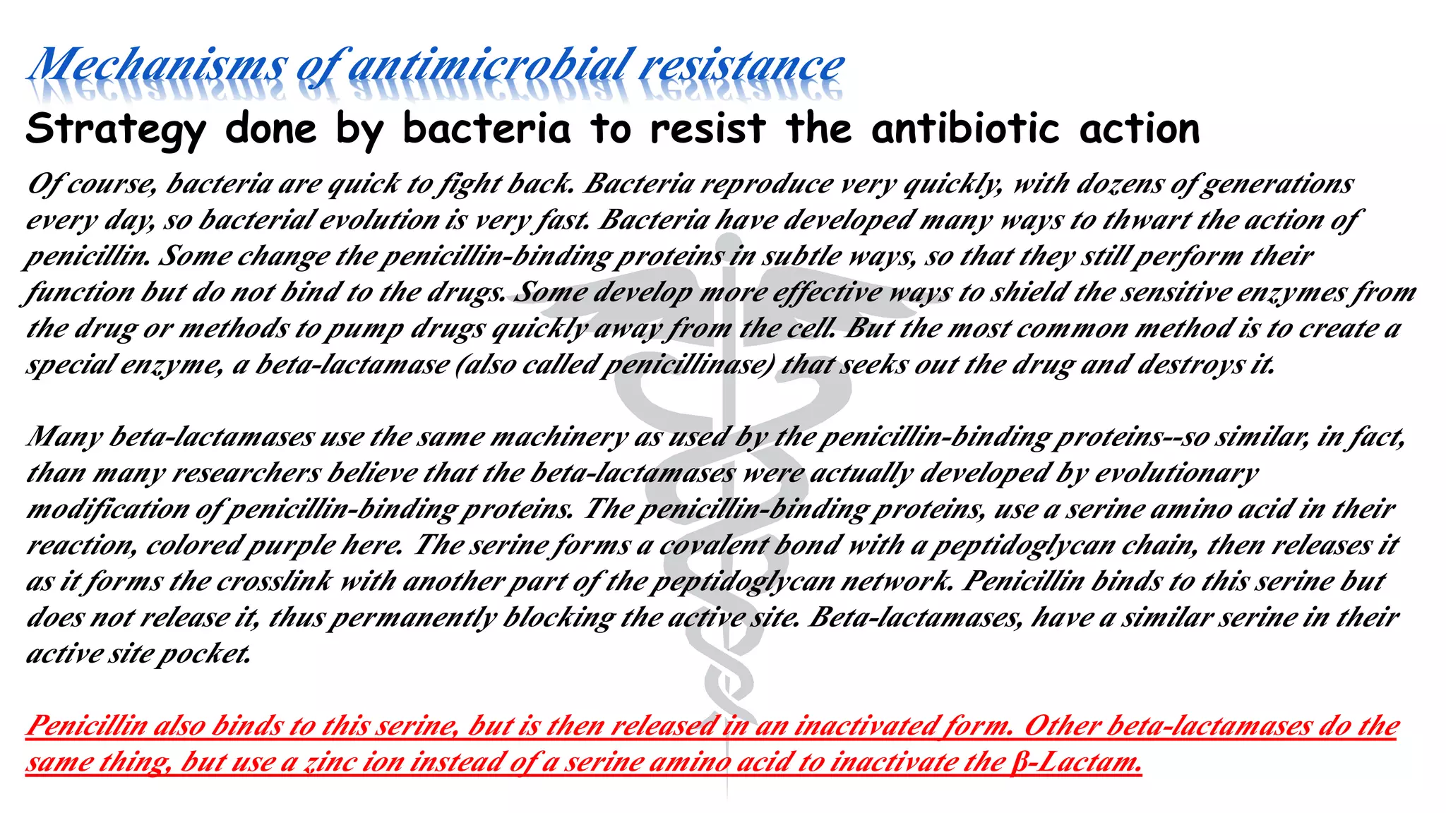 Mechanisms of antimicrobial resistance
Of course, bacteria are quick to fight back. Bacteria reproduce very quickly, with dozens of generations
every day, so bacterial evolution is very fast. Bacteria have developed many ways to thwart the action of
penicillin. Some change the penicillin-binding proteins in subtle ways, so that they still perform their
function but do not bind to the drugs. Some develop more effective ways to shield the sensitive enzymes from
the drug or methods to pump drugs quickly away from the cell. But the most common method is to create a
special enzyme, a beta-lactamase (also called penicillinase) that seeks out the drug and destroys it.
Many beta-lactamases use the same machinery as used by the penicillin-binding proteins--so similar, in fact,
than many researchers believe that the beta-lactamases were actually developed by evolutionary
modification of penicillin-binding proteins. The penicillin-binding proteins, use a serine amino acid in their
reaction, colored purple here. The serine forms a covalent bond with a peptidoglycan chain, then releases it
as it forms the crosslink with another part of the peptidoglycan network. Penicillin binds to this serine but
does not release it, thus permanently blocking the active site. Beta-lactamases, have a similar serine in their
active site pocket.
Penicillin also binds to this serine, but is then released in an inactivated form. Other beta-lactamases do the
same thing, but use a zinc ion instead of a serine amino acid to inactivate the β-Lactam.
Strategy done by bacteria to resist the antibiotic action
 
