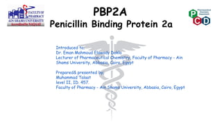 PBP2A
Penicillin Binding Protein 2a
Introduced to;
Dr. Eman Mahmoud Elawady Dokla
Lecturer of Pharmaceutical Chemistry, Faculty of Pharmacy - Ain
Shams University, Abbasia, Cairo, Egypt
Prepared& presented by;
Muhammad Talaat
level II, ID. 457.
Faculty of Pharmacy - Ain Shams University, Abbasia, Cairo, Egypt
 