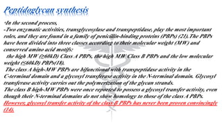Peptidoglycan synthesis
*In the second process,
-Two enzymatic activities, transglycosylase and transpeptidase, play the most important
roles, and they are found in a family of penicillin-binding proteins (PBPs) (21).The PBPs
have been divided into three classes according to their molecular weight (MW) and
conserved amino acid motifs:
the high MW (≥60kD) Class A PBPs, the high MW Class B PBPs and the low molecular
weight (≤60kD) PBPs(18).
The class A high-MW PBPs are bifunctional with transpeptidase activity in the
C-terminal domain and a glycosyl transferase activity in the N-terminal domain. Glycosyl
transferase activity carries out the polymerization of the glycan strands.
The class B high-MW PBPs were once reported to possess a glycosyl transfer activity, even
though their N-terminal domains do not show homology to those of the class A PBPs.
However, glycosyl transfer activity of the class B PBPs has never been proven convincingly
(14).
 