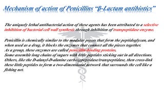 Mechanism of action of Penicillins “β-Lactam antibiotics”
The uniquely lethal antibacterial action of these agents has been attributed to a selective
inhibition of bacterial cell wall synthesis through inhibition of transpeptidase enzyme.
Penicillin is chemically similar to the modular pieces that form the peptidoglycan, and
when used as a drug, it blocks the enzymes that connect all the pieces together.
As a group, these enzymes are called penicillin-binding proteins.
Some assemble long chains of sugars with little peptides sticking out in all directions.
Others, like the D-alanyl-D-alanine carboxypeptidase/transpeptidase, then cross-link
these little peptides to form a two-dimensional network that surrounds the cell like a
fishing net.
 