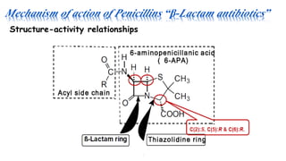 Mechanism of action of Penicillins “β-Lactam antibiotics”
Structure-activity relationships
 