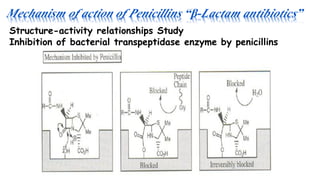 Mechanism of action of Penicillins “β-Lactam antibiotics”
Structure-activity relationships Study
Inhibition of bacterial transpeptidase enzyme by penicillins
 