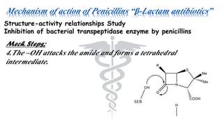 Mechanism of action of Penicillins “β-Lactam antibiotics”
Structure-activity relationships Study
Inhibition of bacterial transpeptidase enzyme by penicillins
Mech. Steps;
4.The –OH attacks the amide and forms a tetrahedral
intermediate.
 