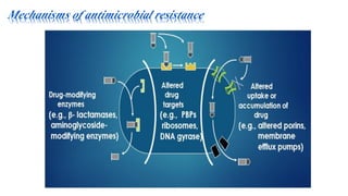 Mechanisms of antimicrobial resistance
 
