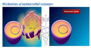 Mechanisms of antimicrobial resistance
 