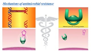 Mechanisms of antimicrobial resistance
 