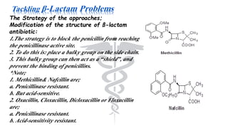 The Strategy of the approaches;
Modification of the structure of ß-lactam
antibiotic:
1.The strategy is to block the penicillin from reaching
the penicillinase active site.
2. To do this is: place a bulky group on the side chain.
3. This bulky group can then act as a “shield”, and
prevent the binding of penicillins.
*Note;
1. Methicillin& Nafcillin are;
a. Penicillinase resistant.
b. But acid-sensitive.
2. Oxacillin, Cloxacillin, Dicloxacillin or Floxacillin
are;
a. Penicillinase resistant.
b. Acid-sensitivity resistant.
 