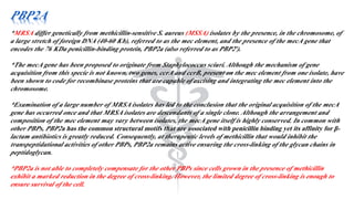 PBP2A
*MRSA differ genetically from methicillin-sensitive S. aureus (MSSA) isolates by the presence, in the chromosome, of
a large stretch of foreign DNA (40-60 Kb), referred to as the mec element, and the presence of the mecA gene that
encodes the 76 KDa penicillin-binding protein, PBP2a (also referred to as PBP2′).
*The mecA gene has been proposed to originate from Staphylococcus sciuri. Although the mechanism of gene
acquisition from this specie is not known, two genes, ccrA and ccrB, present on the mec element from one isolate, have
been shown to code for recombinase proteins that are capable of excising and integrating the mec element into the
chromosome.
*Examination of a large number of MRSA isolates has led to the conclusion that the original acquisition of the mecA
gene has occurred once and that MRSA isolates are descendants of a single clone. Although the arrangement and
composition of the mec element may vary between isolates, the mecA gene itself is highly conserved. In common with
other PBPs, PBP2a has the common structural motifs that are associated with penicillin binding yet its affinity for β-
lactam antibiotics is greatly reduced. Consequently, at therapeutic levels of methicillin that would inhibit the
transpeptidational activities of other PBPs, PBP2a remains active ensuring the cross-linking of the glycan chains in
peptidoglycan.
*PBP2a is not able to completely compensate for the other PBPs since cells grown in the presence of methicillin
exhibit a marked reduction in the degree of cross-linking. However, the limited degree of cross-linking is enough to
ensure survival of the cell.
 