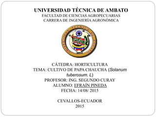 UNIVERSIDAD TÉCNICA DE AMBATO
FACULTAD DE CIENCIAS AGROPECUARIAS
CARRERA DE INGENIERÍAAGRONÓMICA
CÁTEDRA: HORTICULTURA
TEMA: CULTIVO DE PAPA CHAUCHA (Solanum
tuberosum. L)
PROFESOR: ING. SEGUNDO CURAY
ALUMNO: EFRAÍN PINEDA
FECHA: 14/08/ 2015
CEVALLOS-ECUADOR
2015
 