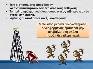 • Τότε οι επιστήμονες αποφάσισαν
να αντικαταστήσουν τον ένα από τους πίθηκους.
• Το πρώτο πράγμα που έκανε αυτός ο νέος πίθηκος ήταν να
ανέβει στη σκάλα.
• Αμέσως οι υπόλοιποι τον ξυλοκόπησαν.
Μετά από μερικά ξυλοκοπήματα,
ο νεοφερμένος έμαθε να μην
ανεβαίνει στη σκάλα
παρότι δεν ήξερε γιατί.
 
