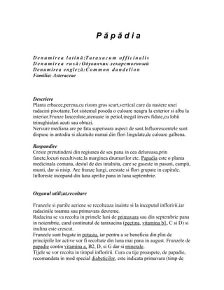 Păpădia

D e n u m i r e a l a t i n ă :T a r a x a c u m o f f i c i n a l i s
D e n u m i r e a r u s ă : Одуванчик лекарственный
Denumirea engleză:C o m m o n d a n d e l i o n
Familia: Asteraceae



Descriere
Planta erbacee,perena,cu rizom gros scurt,vertical care da nastere unei
radacini pivotante.Tot sistemul poseda o culoare neagra la exterior si alba la
interior.Frunze lanceolate,atenuate in petiol,inegal invers fidate,cu lobii
trinughiulari acuti sau obtuzi.
Nervure mediana are pe fata superioara aspect de sant.Influorescentele sunt
dispuse in antodiu si alcatuite numai din flori lingulate,de culoare galbena.

Raspandire
Creste pretutindeni din regiunea de ses pana in cea deluroasa,prin
fanete,locuri necultivate,la marginea drumurilor etc. Papadia este o planta
medicinala comuna, destul de des intalnita, care se gaseste in pasuni, campii,
munti, dar si nisip. Are frunze lungi, crestate si flori grupate in capitule.
Infloreste incepand din luna aprilie pana in luna septembrie.


Organul utilizat,recoltare

Frunzele si partile aeriene se recolteaza inainte si la inceputul infloririi,iar
radacinile toamna sau primavara devreme.
Radacina se va recolta in primele luni de primavara sau din septembrie pana
in noiembrie, cand continutul de taraxacina (pectina, vitamina b1, C si D) si
inulina este crescut.
Frunzele sunt bogate in potasiu, iar pentru a se beneficia din plin de
principiile lor active vor fi recoltate din luna mai pana in august. Frunzele de
papadie contin vitamina a, B2, D, si G dar si minerale.
Tijele se vor recolta in timpul infloririi. Cura cu tije proaspete, de papadie,
recomandata in mod special diabeticilor, este indicata primavara (timp de
 