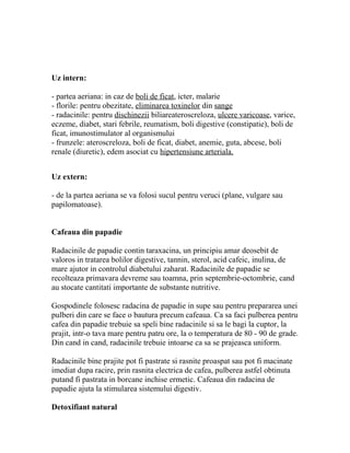 Uz intern:

- partea aeriana: in caz de boli de ficat, icter, malarie
- florile: pentru obezitate, eliminarea toxinelor din sange
- radacinile: pentru dischinezii biliareateroscreloza, ulcere varicoase, varice,
eczeme, diabet, stari febrile, reumatism, boli digestive (constipatie), boli de
ficat, imunostimulator al organismului
- frunzele: ateroscreloza, boli de ficat, diabet, anemie, guta, abcese, boli
renale (diuretic), edem asociat cu hipertensiune arteriala.


Uz extern:

- de la partea aeriana se va folosi sucul pentru veruci (plane, vulgare sau
papilomatoase).


Cafeaua din papadie

Radacinile de papadie contin taraxacina, un principiu amar deosebit de
valoros in tratarea bolilor digestive, tannin, sterol, acid cafeic, inulina, de
mare ajutor in controlul diabetului zaharat. Radacinile de papadie se
recolteaza primavara devreme sau toamna, prin septembrie-octombrie, cand
au stocate cantitati importante de substante nutritive.

Gospodinele folosesc radacina de papadie in supe sau pentru prepararea unei
pulberi din care se face o bautura precum cafeaua. Ca sa faci pulberea pentru
cafea din papadie trebuie sa speli bine radacinile si sa le bagi la cuptor, la
prajit, intr-o tava mare pentru patru ore, la o temperatura de 80 - 90 de grade.
Din cand in cand, radacinile trebuie intoarse ca sa se prajeasca uniform.

Radacinile bine prajite pot fi pastrate si rasnite proaspat sau pot fi macinate
imediat dupa racire, prin rasnita electrica de cafea, pulberea astfel obtinuta
putand fi pastrata in borcane inchise ermetic. Cafeaua din radacina de
papadie ajuta la stimularea sistemului digestiv.

Detoxifiant natural
 