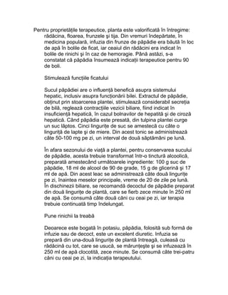 Pentru proprietăţile terapeutice, planta este valorificată în întregime:
    rădăcina, floarea, frunzele şi tija. Din vremuri îndepărtate, în
    medicina populară, infuzia din frunze de păpădie era băută în loc
    de apă în bolile de ficat, iar ceaiul din rădăcini era indicat în
    bolile de rinichi şi în caz de hemoragie. Până astăzi, s-a
    constatat că păpădia însumează indicaţii terapeutice pentru 90
    de boli.

    Stimulează funcţiile ficatului

    Sucul păpădiei are o influenţă benefică asupra sistemului
    hepatic, inclusiv asupra funcţionării bilei. Extractul de păpădie,
    obţinut prin stoarcerea plantei, stimulează considerabil secreţia
    de bilă, reglează contracţiile vezicii biliare, fiind indicat în
    insuficienţă hepatică, în cazul bolnavilor de hepatită şi de ciroză
    hepatică. Când păpădia este presată, din tulpina plantei curge
    un suc lăptos. Cinci linguriţe de suc se amestecă cu câte o
    linguriţă de lapte şi de miere. Din acest tonic se administrează
    câte 50-100 mg pe zi, un interval de două săptămâni pe lună.

    În afara sezonului de viaţă a plantei, pentru conservarea sucului
    de păpădie, acesta trebuie transformat într-o tinctură alcoolică,
    preparată amestecând următoarele ingrediente: 100 g suc de
    păpădie, 18 ml de alcool de 90 de grade, 15 g de glicerină şi 17
    ml de apă. Din acest leac se administrează câte două linguriţe
    pe zi, înaintea meselor principale, vreme de 20 de zile pe lună.
    În dischinezii biliare, se recomandă decoctul de păpădie preparat
    din două linguriţe de plantă, care se fierb zece minute în 250 ml
    de apă. Se consumă câte două căni cu ceai pe zi, iar terapia
    trebuie continuată timp îndelungat.

    Pune rinichii la treabă

    Deoarece este bogată în potasiu, păpădia, folosită sub formă de
    infuzie sau de decoct, este un excelent diuretic. Infuzia se
    prepară din una-două linguriţe de plantă întreagă, culeasă cu
    rădăcină cu tot, care se usucă, se mărunţeşte şi se infuzează în
    250 ml de apă clocotită, zece minute. Se consumă câte trei-patru
    căni cu ceai pe zi, la indicaţia terapeutului.
 