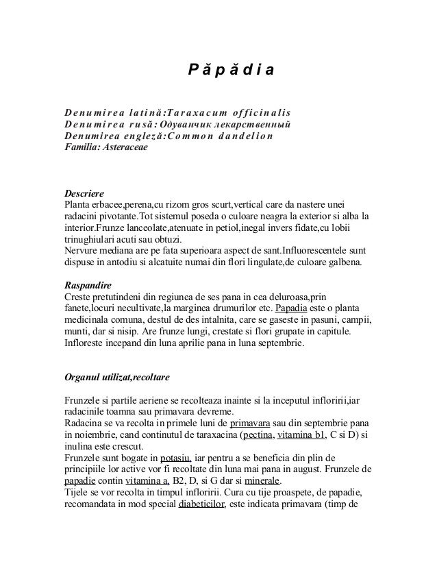 Papadia