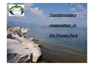 Transboundary

cooperation in

the Prespa Park
 