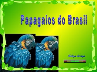 Papagaios do Brasil Helga design 