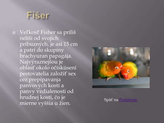  Veľkosť Fisher sa príliš
nelíši od svojich
príbuzných, je asi 15 cm
a patrí do skupiny
brachyuran papagája.
Najvýraznejšou je
oblasť okolo očískúsení
pestovatelia založiť sex
cez prepipavanja
panvových kostí a
panvy vzdialenosti od
hrudnej kosti, čo je
mierne vyššia u žien.
Späť na Podelenie
 