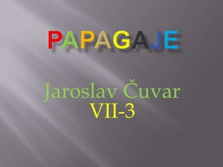 Jaroslav Čuvar
VII-3
 