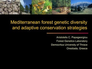 Mediterranean forest genetic diversity
and adaptive conservation strategies
                       Aristotelis C. Papageorgiou
                       Forest Genetics Laboratory
                    Democritus University of Thrace
                                 Orestiada, Greece
 