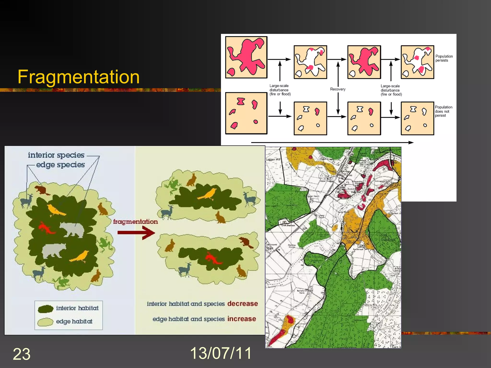 Fragmentation




23              13/07/11
 