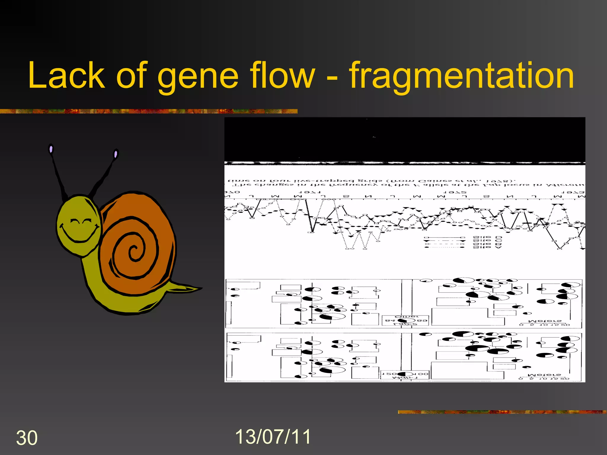 Lack of gene flow - fragmentation




30           13/07/11
 