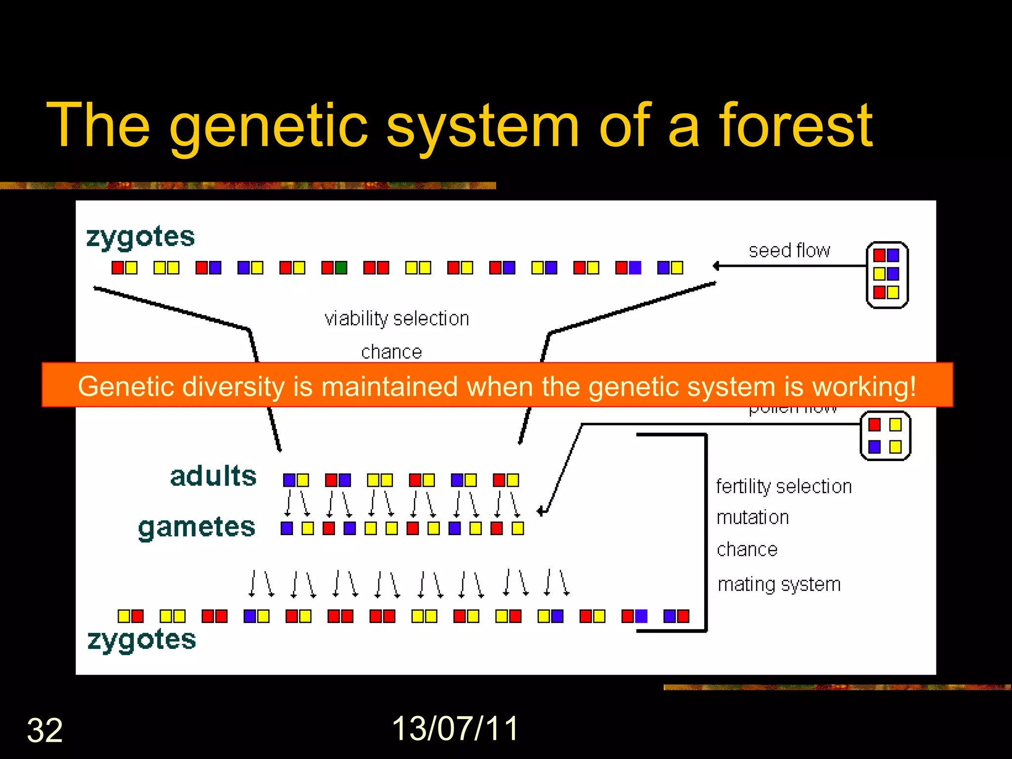 The genetic system of a forest



     Genetic diversity is maintained when the genetic system is working!




32                           13/07/11
 