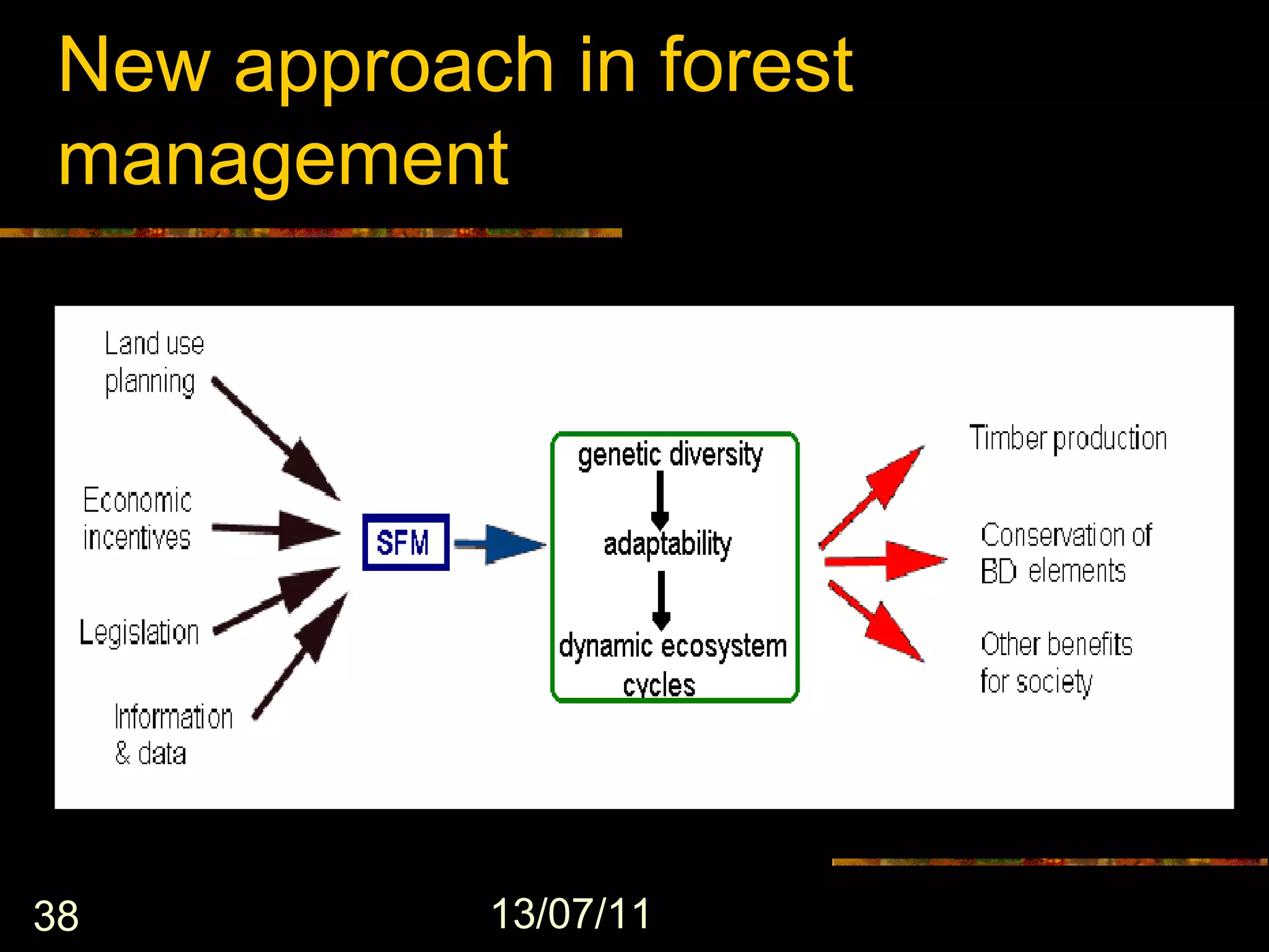 New approach in forest
 management




38          13/07/11
 
