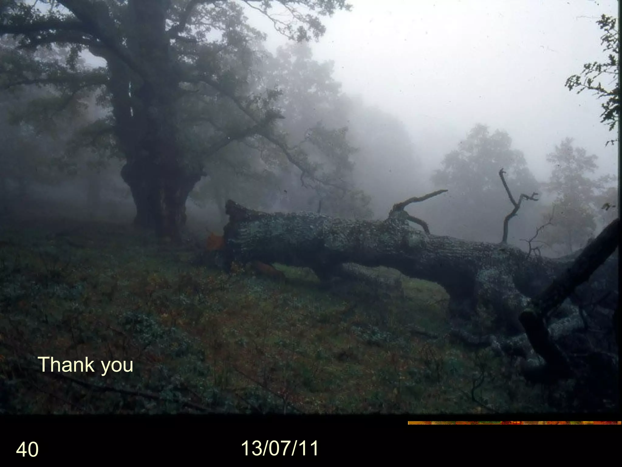 Thank you



40           13/07/11
 