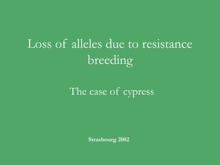 Loss of alleles due to resistance
            breeding

        The case of cypress



            Strasbourg 2002
 