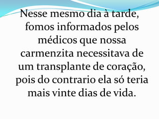 Nesse mesmo dia à tarde,
  fomos informados pelos
     médicos que nossa
 carmenzita necessitava de
um transplante de coração,
pois do contrario ela só teria
   mais vinte dias de vida.
 