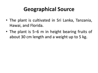 Geographical Source
• The plant is cultivated in Sri Lanka, Tanzania,
Hawai, and Florida.
• The plant is 5–6 m in height bearing fruits of
about 30 cm length and a weight up to 5 kg.
 
