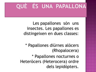 QUÈ   éSUNA  PAPALLONALes papallonessónuns insectes. Les papalloneses distingeixenen dues classes:    * Papallonesdiürnesalòcers (Rhopalocera)    * Papallones nocturnes o Heteròcers (Heterocera) ordre delslepidòpters.