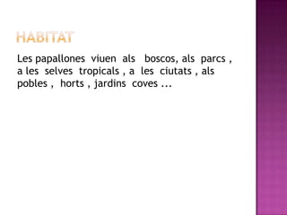HABITATLes papallones  viuen  als   boscos, als  parcs ,  a les  selves  tropicals , a  les  ciutats , als  pobles ,  horts , jardins  coves ...