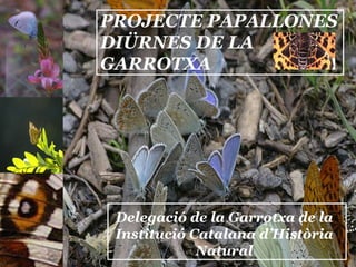 PROJECTE PAPALLONES DIÜRNES DE LA GARROTXA Delegació de la Garrotxa de la Institució Catalana d’Història Natural 