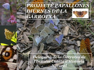 PROJECTE PAPALLONES DIÜRNES DE LA GARROTXA Delegació de la Garrotxa de l’Institut Català d’Història Natural 
