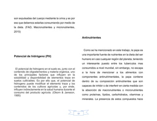 10
son expulsadas del cuerpo mediante la orina y es por
eso que debemos estarlas consumiendo por medio de
la dieta. (FAO, Macronutrientes y micronutrientes,
2015)
Potencial de hidrógeno (PH)
El potencial de hidrogeno en el suelo es, junto con el
contenido de oligoelementos y materia orgánica, uno
de los principales factores que influyen en la
solubilidad y disponibilidad de elementos traza en
suelos cultivables. Es por ello que, el potencial de
hidrogeno puede modificar el elemento traza y los
contenidos de los cultivos agrícolas y, por ende,
influyen indirectamente en la salud humana durante el
consumo del producto agrícola. (Oborn & Jansson,
1995)
Antinutrientes
Como se ha mencionado en este trabajo, la papa es
una importante fuente de nutrientes en la dieta del ser
humano en casi cualquier región del planeta, teniendo
un interesante puesto entre los tuberculos mas
consumidos a nivel mundial, sin embargo, no escapa
a la hora de mencionar a los alimentos con
componentes antinutrimentales, la papa contiene
dentro de su composición antinutrientes que son
capaces de inhibir o de interferir en cierta medida con
la absorción de macronutrientes o micronutrientes
como proteínas, lípidos, carbohidratos, vitaminas y
minerales. La presencia de estos compuestos hace
 
