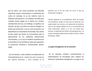 12
tipo de cultivo. Las virosis presentan una dificultad
importante porque comprometen el rendimiento del
cultivo sin embargo no es tan extremo como la
Ralstonia solanacearum. Los métodos normales para
combatir dichas plagas es el intento por comprar
semillas libres de virus, sin embargo, no significa una
solución, ya que si el cultivo se vuelve a contagiar, se
pierde esa producción y asi es como se genera una
dependencia a la importación de semillas. Aquí radica
el gran papel que tienen los monocultivos para el
agravamiento de los problemas anteriormente
mencionados, y a su vez se resalta la importancia de
la diversidad en las semillas de papa para garantizar
su producción constante e imprescindible. (Borba,
2008)
Se han llevado a cabo estudios de poblaciones de
microorganismos en la rizósfera del cultivo de papa de
dos regiones diferentes, y como resultado se ha
obtenido que el PH del suelo asi como el tipo de
fertilización inorgánica
influyen bastante en la proliferación tanto de hongos
como bacterias, dando en este caso en particular una
superioridad muy notoria en el desarrollo de bacterias
sobre el de hongos debido tal vez a la alcalinidad del
suelo examinado, dando a su vez una pauta para
prevenir el desarrollo de dichos microoorganismos o al
menos controlarlo desde antes iniciado el cultivo. (Calvo
& Meneses, 2008)
La papa transgénica no es solución
Se ha intentado introducir constantemente la
implementación de tecnologías para “mejorar los
alimentos” haciéndolos transgénicos y la papa no ha
 