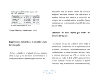 14
(Vargas, Martinez, & Velezmoro, 2016)
Experimentos referentes a la división celular
del tubérculo
Se han realizado en el pasado diversos estudios
sobre la papa y uno de dichos experimentos es la
utilización del Ácido Gibberelico para observar las
respuestas mas en división celular del tubérculo
arrojando resultados inciertos que descartaron el
beneficio real que esto traería a la producción, sin
embargo, se ha quedado abierto a posibles futuras
pruebas ya que no se descarto un posible beneficio.
(Lovell, 1967)
Obtencion de acido láctico por medio del
almidon de la papa
En algunos trabajos se a utilizado como medio la
fermentación, comenzando con la implementación de
la bacteria Lactobacillus Delbrueckii Bulgaricus, para
trasplantarla en un medio de cultivo Nutritivo, a esto
le continua determinar las UFC, en donde se ha
obtenido una media de 3.72 UFC/ml, posteriormente
se han realizado inóculos en matraces de 500ml,
colocando 300g de almidón de solanum tuberosum y
 