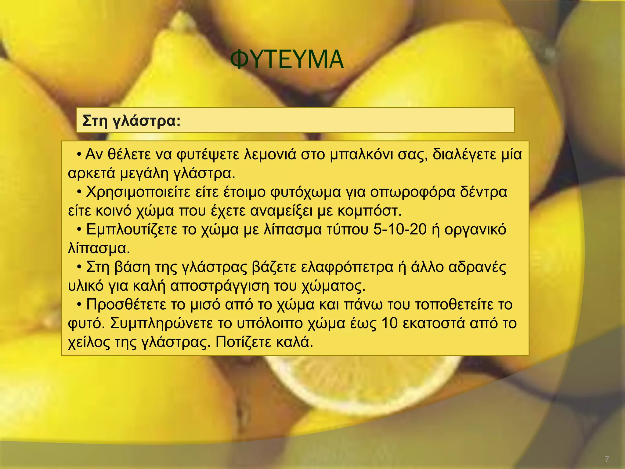 ΥΤΣΕΤΜΑ
7
΢ηε γιάζηξα:
• Αλ ζέιεηε λα θπηέςεηε ιεκνληά ζην κπαιθόλη ζαο, δηαιέγεηε κία
αξθεηά κεγάιε γιάζηξα.
• Υξεζηκνπνηείηε είηε έηνηκν θπηόρσκα γηα νπσξνθόξα δέληξα
είηε θνηλό ρώκα πνπ έρεηε αλακείμεη κε θνκπόζη.
• Δκπινπηίδεηε ην ρώκα κε ιίπαζκα ηύπνπ 5-10-20 ή νξγαληθό
ιίπαζκα.
• ΢ηε βάζε ηεο γιάζηξαο βάδεηε ειαθξόπεηξα ή άιιν αδξαλέο
πιηθό γηα θαιή απνζηξάγγηζε ηνπ ρώκαηνο.
• Πξνζζέηεηε ην κηζό από ην ρώκα θαη πάλσ ηνπ ηνπνζεηείηε ην
θπηό. ΢πκπιεξώλεηε ην ππόινηπν ρώκα έσο 10 εθαηνζηά από ην
ρείινο ηεο γιάζηξαο. Πνηίδεηε θαιά.
 