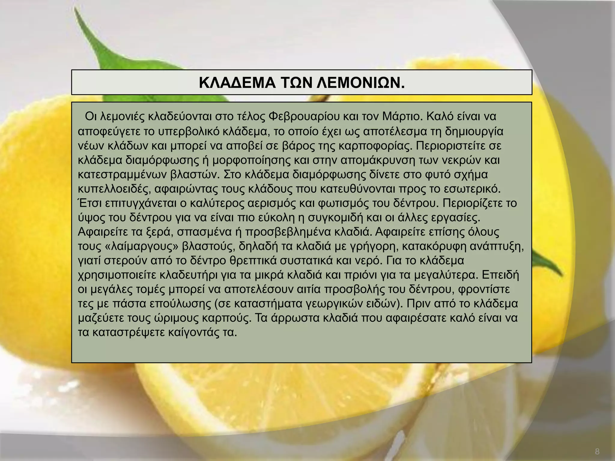 8
ΚΛΑΓΔΜΑ ΣΧΝ ΛΔΜΟΝΙΧΝ.
Οη ιεκνληέο θιαδεύνληαη ζην ηέινο Φεβξνπαξίνπ θαη ηνλ Μάξηην. Καιό είλαη λα
απνθεύγεηε ην ππεξβνιηθό θιάδεκα, ην νπνίν έρεη σο απνηέιεζκα ηε δεκηνπξγία
λέσλ θιάδσλ θαη κπνξεί λα απνβεί ζε βάξνο ηεο θαξπνθνξίαο. Πεξηνξηζηείηε ζε
θιάδεκα δηακόξθσζεο ή κνξθνπνίεζεο θαη ζηελ απνκάθξπλζε ησλ λεθξώλ θαη
θαηεζηξακκέλσλ βιαζηώλ. ΢ην θιάδεκα δηακόξθσζεο δίλεηε ζην θπηό ζρήκα
θππειινεηδέο, αθαηξώληαο ηνπο θιάδνπο πνπ θαηεπζύλνληαη πξνο ην εζσηεξηθό.
Έηζη επηηπγράλεηαη ν θαιύηεξνο αεξηζκόο θαη θσηηζκόο ηνπ δέληξνπ. Πεξηνξίδεηε ην
ύςνο ηνπ δέληξνπ γηα λα είλαη πην εύθνιε ε ζπγθνκηδή θαη νη άιιεο εξγαζίεο.
Αθαηξείηε ηα μεξά, ζπαζκέλα ή πξνζβεβιεκέλα θιαδηά. Αθαηξείηε επίζεο όινπο
ηνπο «ιαίκαξγνπο» βιαζηνύο, δειαδή ηα θιαδηά κε γξήγνξε, θαηαθόξπθε αλάπηπμε,
γηαηί ζηεξνύλ από ην δέληξν ζξεπηηθά ζπζηαηηθά θαη λεξό. Γηα ην θιάδεκα
ρξεζηκνπνηείηε θιαδεπηήξη γηα ηα κηθξά θιαδηά θαη πξηόλη γηα ηα κεγαιύηεξα. Δπεηδή
νη κεγάιεο ηνκέο κπνξεί λα απνηειέζνπλ αηηία πξνζβνιήο ηνπ δέληξνπ, θξνληίζηε
ηεο κε πάζηα επνύισζεο (ζε θαηαζηήκαηα γεσξγηθώλ εηδώλ). Πξηλ από ην θιάδεκα
καδεύεηε ηνπο ώξηκνπο θαξπνύο. Σα άξξσζηα θιαδηά πνπ αθαηξέζαηε θαιό είλαη λα
ηα θαηαζηξέςεηε θαίγνληάο ηα.
 