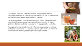 °La papaína, junto a la carpaína, estimula los jugos pancreáticos,
favorece la digestión de comidas pesadas, genera un efecto adelgazante
quemando grasas, y es un desintoxicante natural.
°Se recomienda para casos de gastroenteritis, colitis, colitis ulcerosa o
colon irritable ya que que si hay una producción excesiva de jugos
gástricos el efecto protector y suavizante de la papaína los neutraliza.
°La papaína tiene propiedades anti-inflamatorias y es de gran utilidad
tanto en el tratamiento de eccemas, psoriasis y bronquitis, como en el
control de hematomas y edemas producidas por lesiones.
 