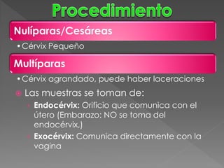 Nulíparas/Cesáreas
•Cérvix Pequeño

Multíparas
•Cérvix agrandado, puede haber laceraciones
   Las muestras se toman de:
    › Endocérvix: Orificio que comunica con el
      útero (Embarazo: NO se toma del
      endocérvix,)
    › Exocérvix: Comunica directamente con la
      vagina
 