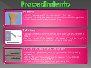 Exocérvix
•Se toma con la espátula, con el extremo bifurcado
•Se ejerce una pequeña presión sobre el orificio cervical, girando
 360° en sentido a las manecillas del reloj




Endocérvix
•Se puede utilizar el extremo cónico de la espátula, el Cytobrush o
 hisopo
•Se coloca en el orificio de este canal, se ejerce una ligera presión y
 se gira en sentido contrario a las manecillas del reloj



EXTENDIDO SOBRE EL PORTAOBJETOS
•Se divide en 2 partes imaginarias longitudinales (endocérvix y
 exocérvix)
•Se EXTIENDE en monocapa evitando excesos (en el caso de
 hisopo/Cytobrush este se ROTA)
•Se coloca en alcohol del 96° o se aplica el fijador
 