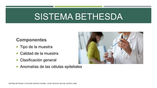 Componentes
 Tipo de la muestra
 Calidad de la muestra
 Clasificación general
 Anomalías de las células epiteliales
SISTEMA BETHESDA
SISTEMA BETHESDA: CITOLOGÍA CERVICO-VAGINAL. VIVAR, NICOLÁS. NETLAB. AGOSTO, 2006.
 
