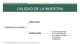 CALIDAD DE LA MUESTRA
 Calidad de la muestra
Adecuada
Inadecuada
• Muestra fragmentada
• Con escasas células
• Con exceso de sangre
• Sin datos de
identificación
SISTEMA BETHESDA: CITOLOGÍA CERVICO-VAGINAL. VIVAR, NICOLÁS. NETLAB. AGOSTO, 2006.
 
