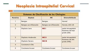 Citología cervical - Papanicolaou
